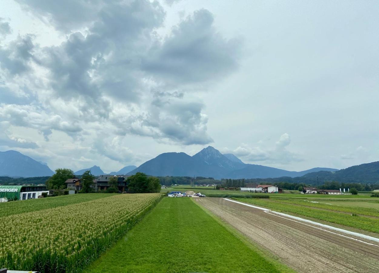 Apartmán Wohnen Mit Bergausblick Wals-Siezenheim Exteriér fotografie